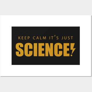 Keep Calm It&#39;s Just Science Posters and Art